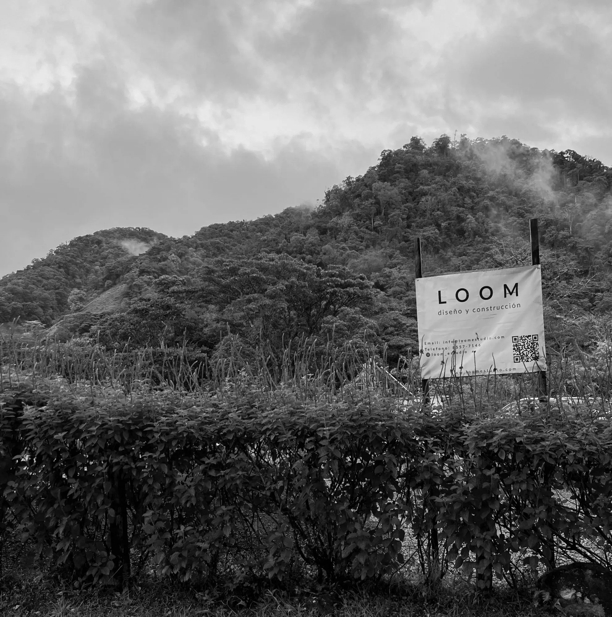 LOOM